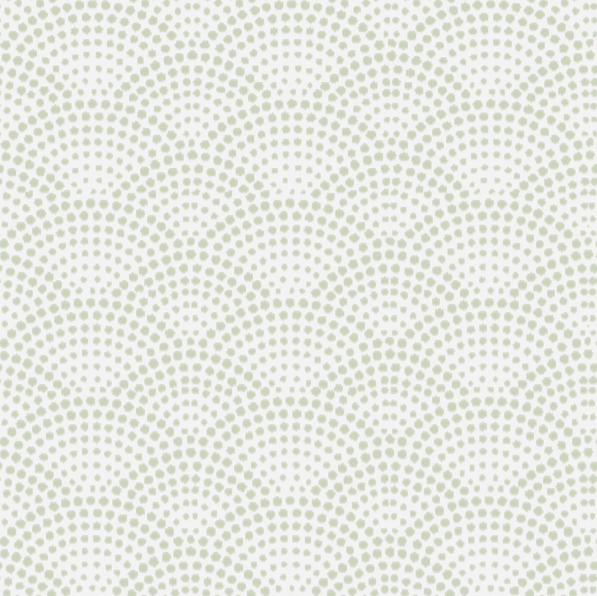 Alexa hampton shade store burst silverspoon 1200 xxx q85